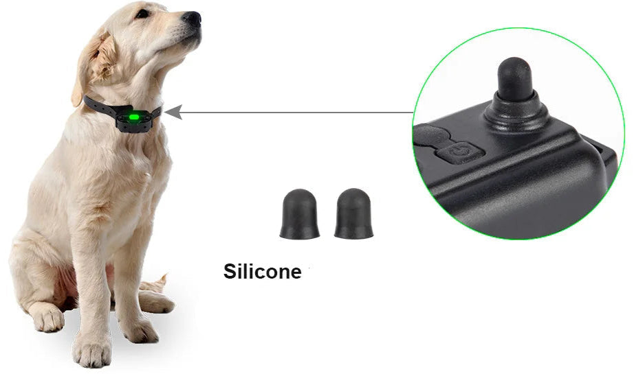 Collier Electrique pour Chien