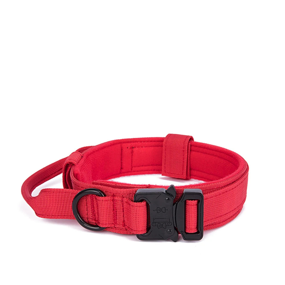 Collier pour Chien