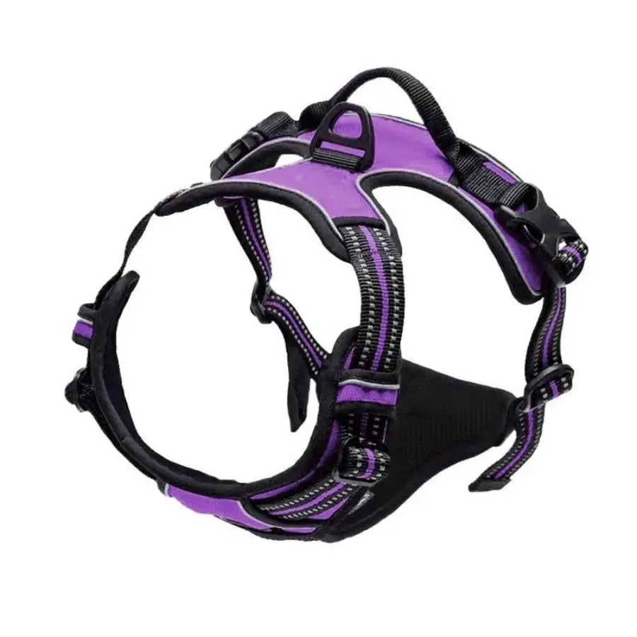 Harnais pour Chien