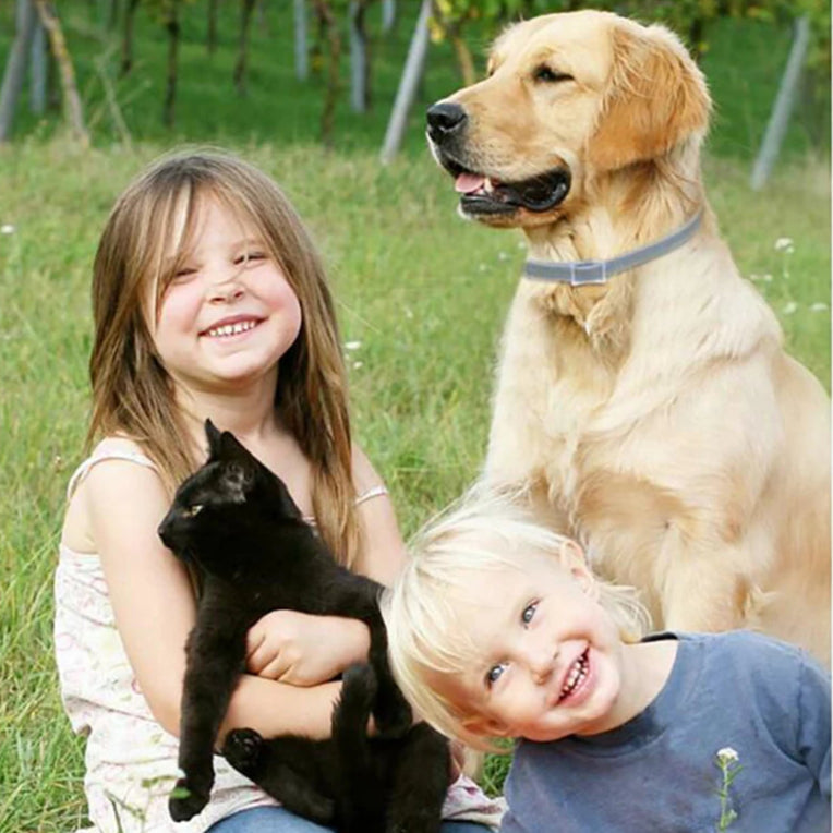 Peigne Anti Puces et Tiques