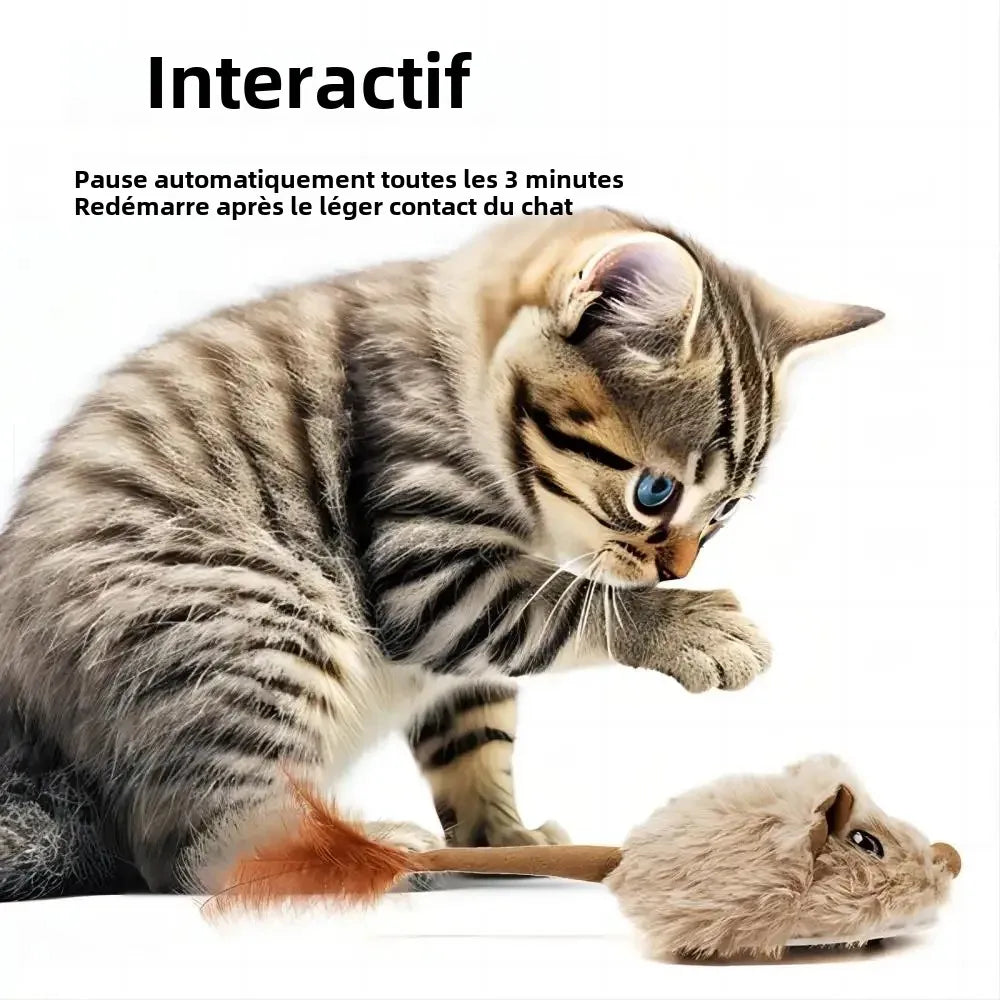 Souris pour Chat