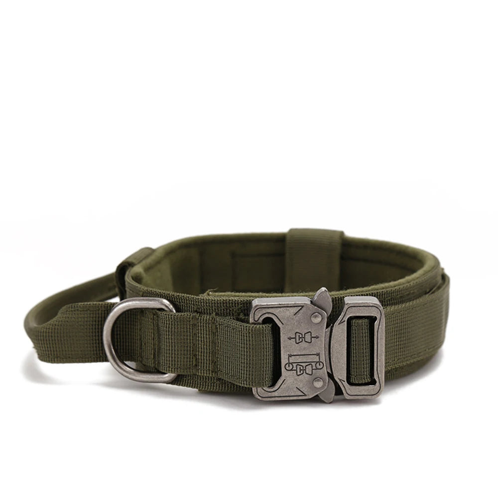 Collier pour Chien