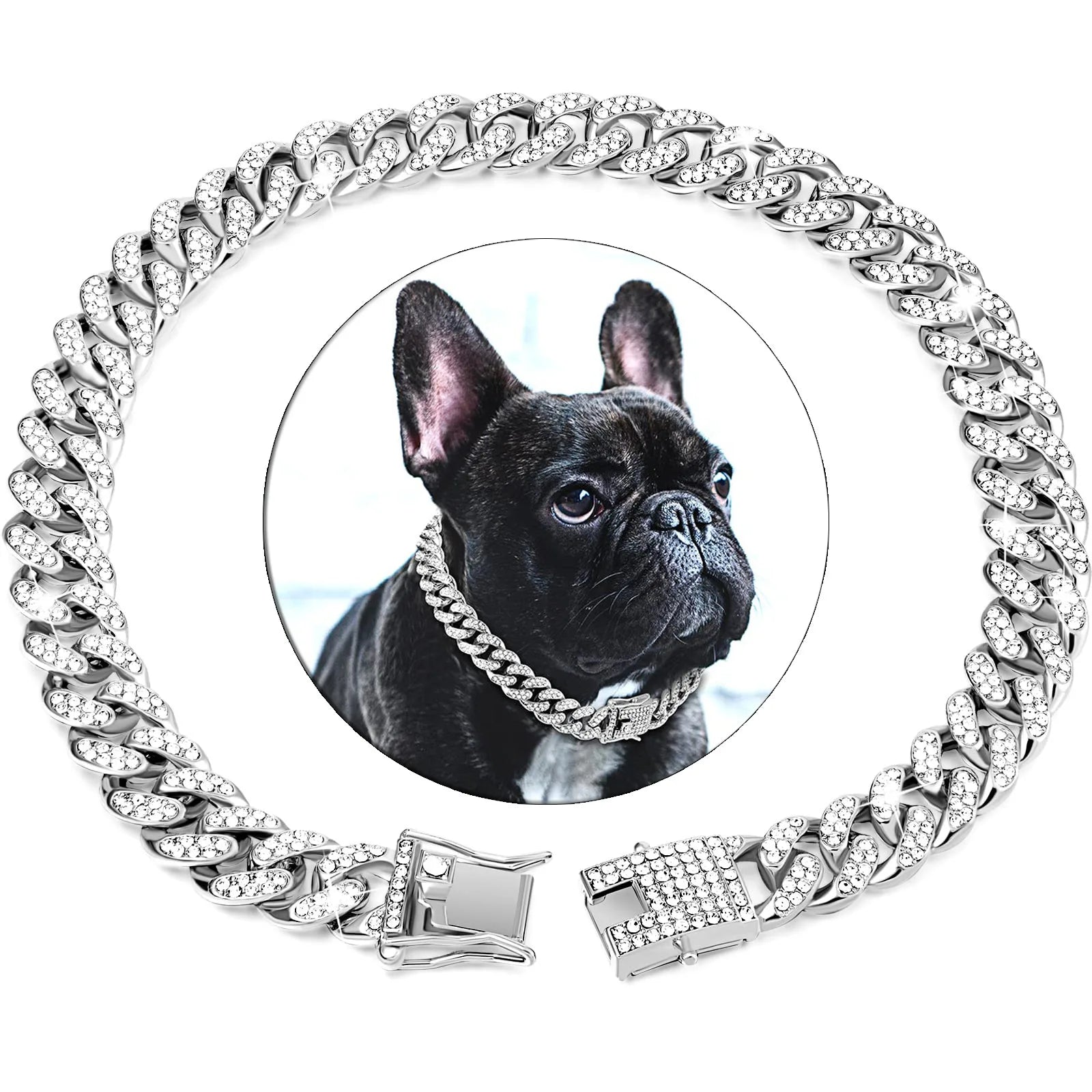 Collier Fashion pour Chien