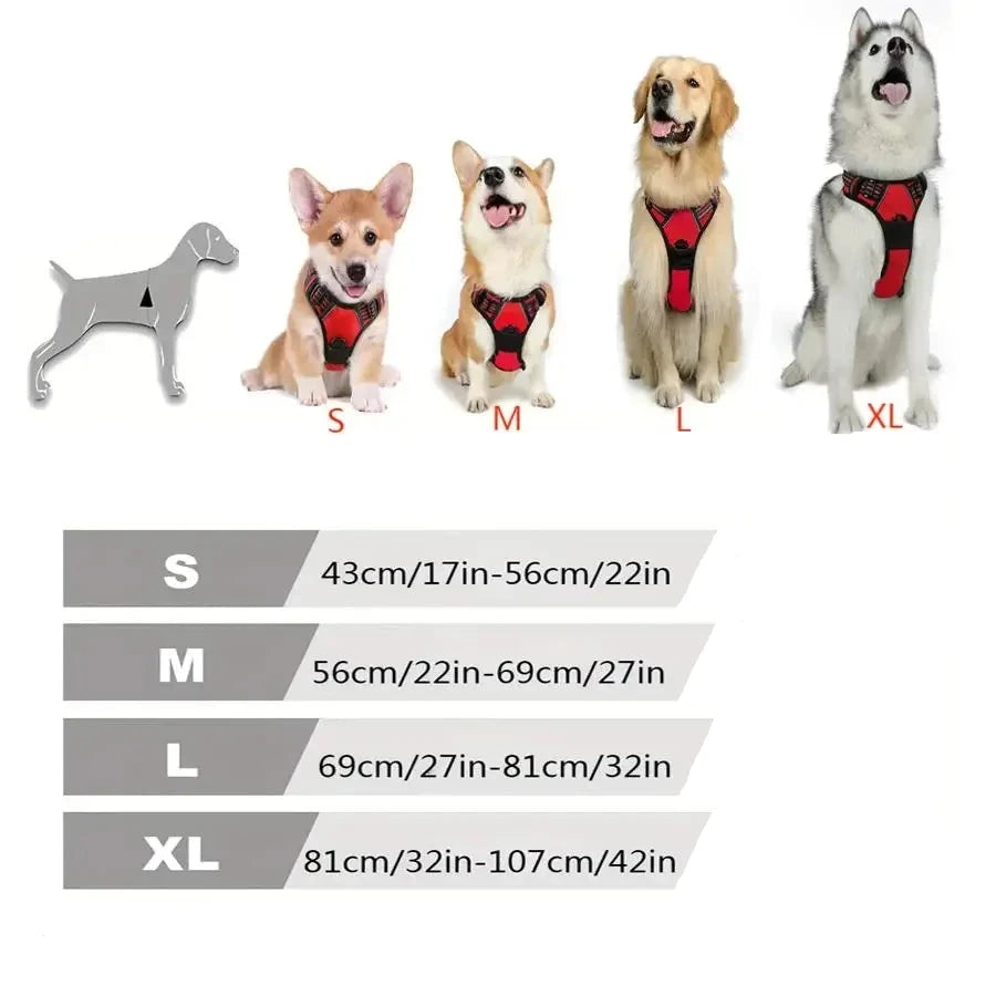 Harnais pour Chien
