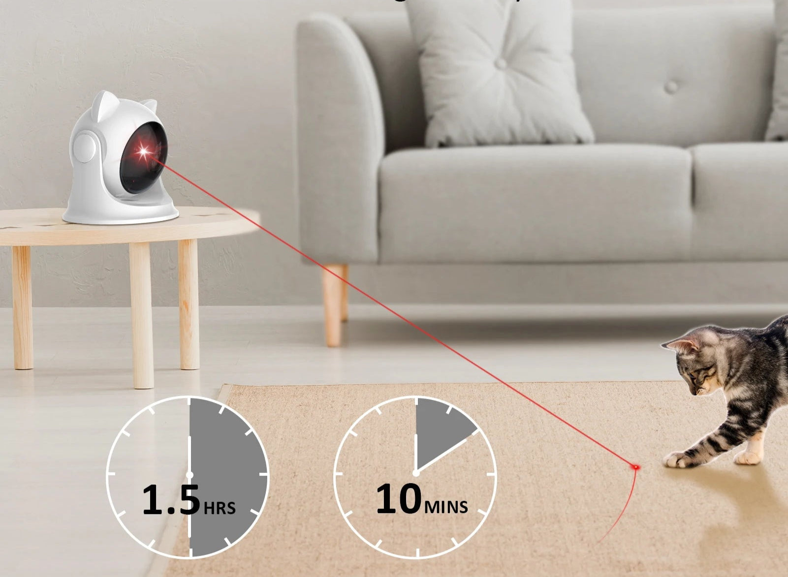 Laser pour Chat