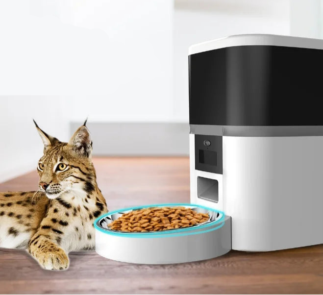 Distributeur de Croquettes