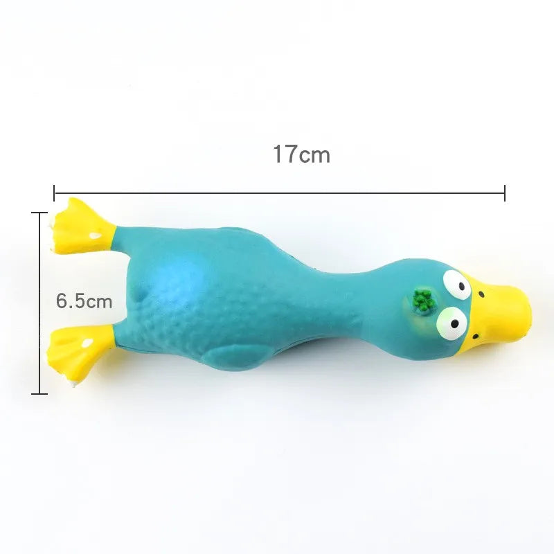 Jouet pour Chien Poulet