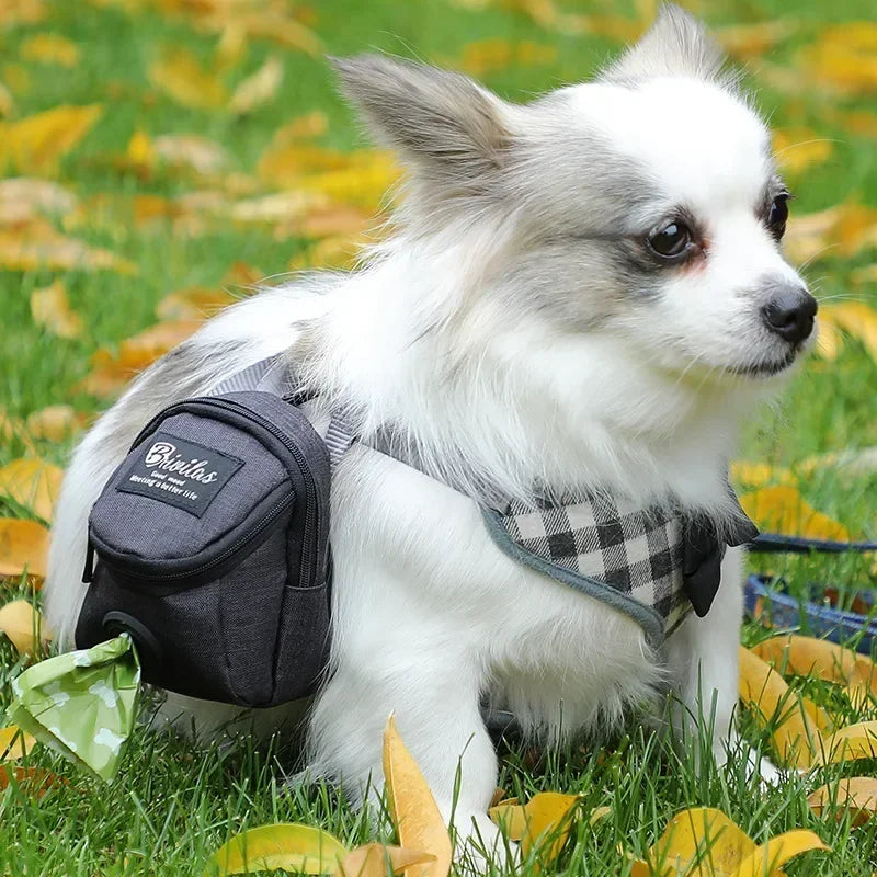 Sac a Friandise Pour Chien