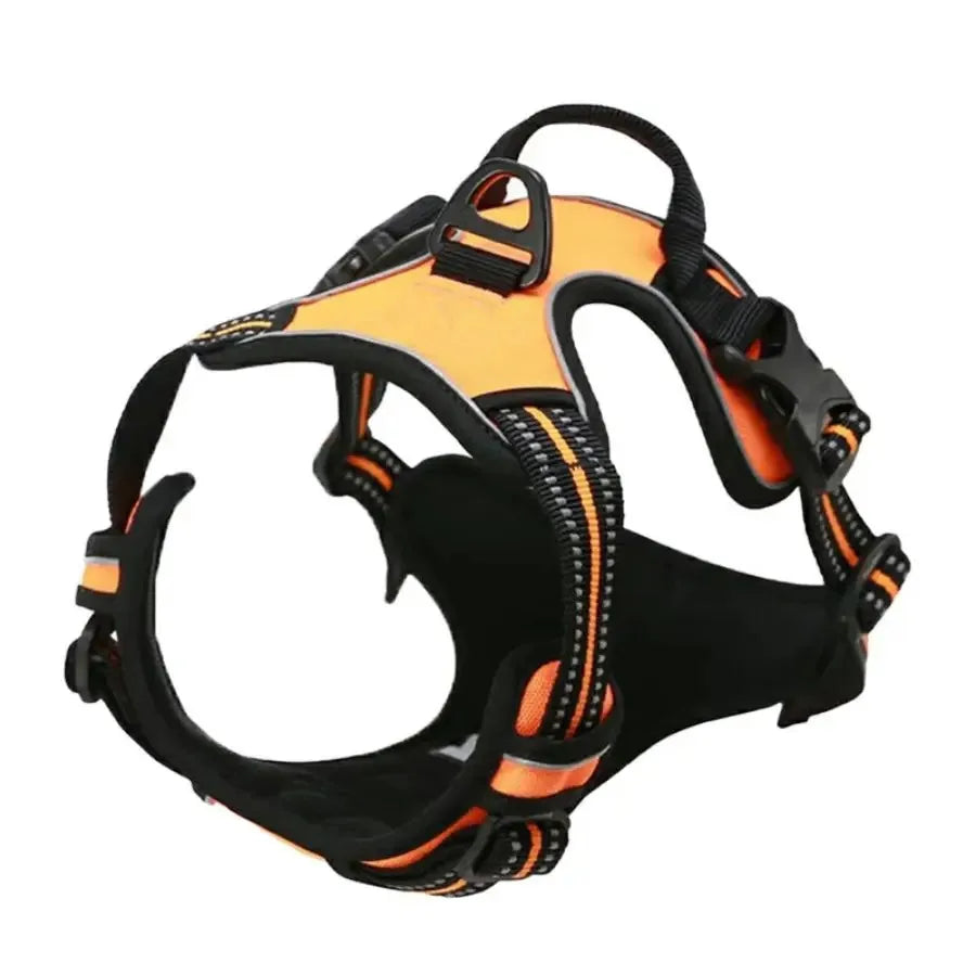 Harnais pour Chien