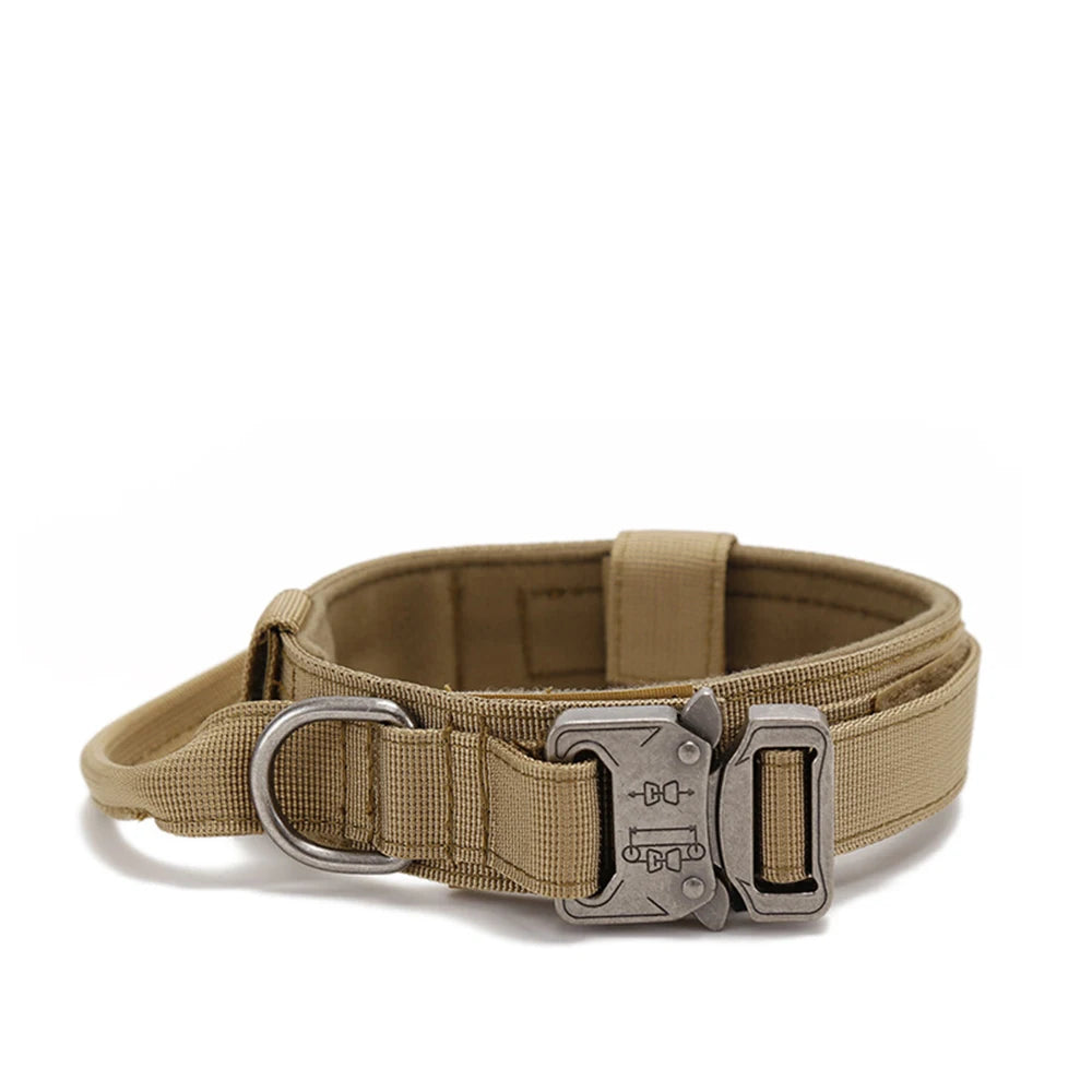 Collier pour Chien