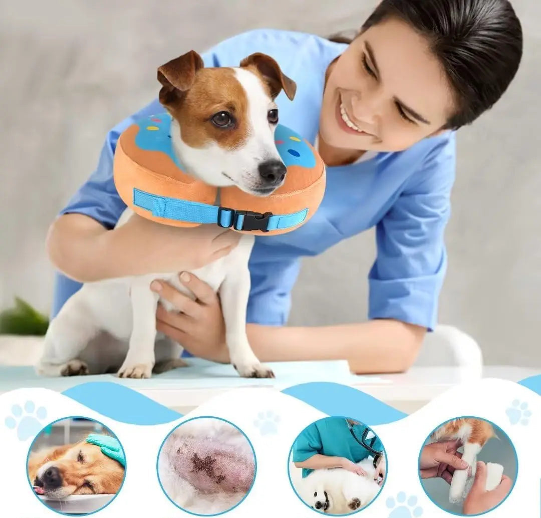 Collerette Gonflable