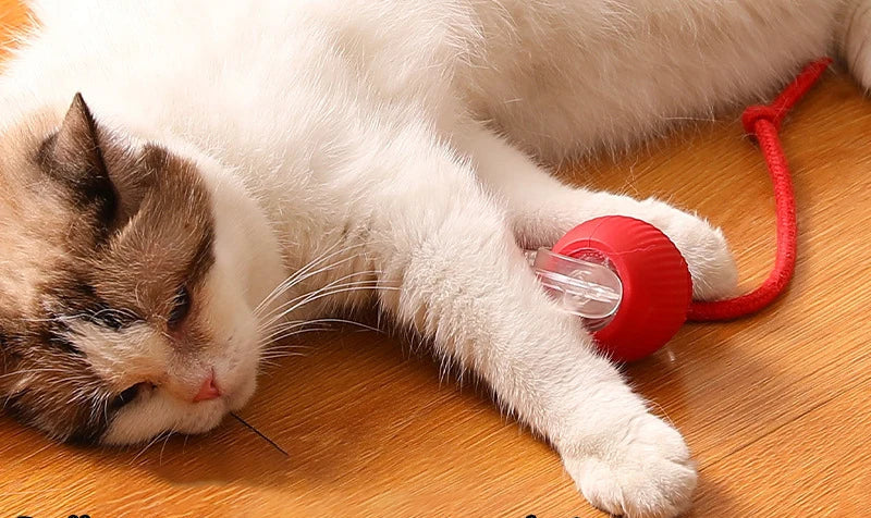 Balle pour Chat