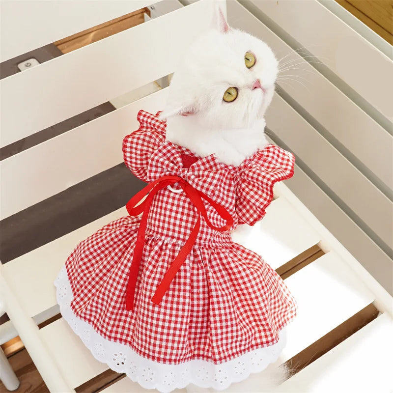 Robe Pour Chat