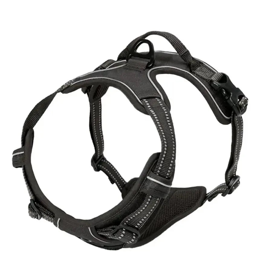 Harnais pour Chien