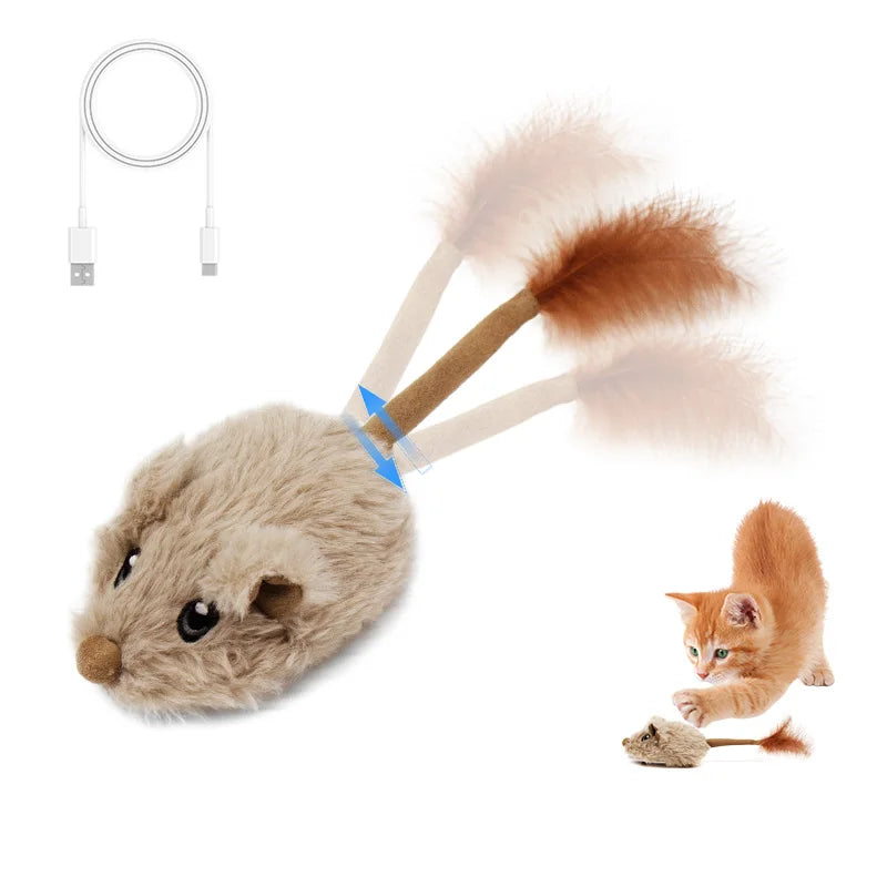 Souris pour Chat