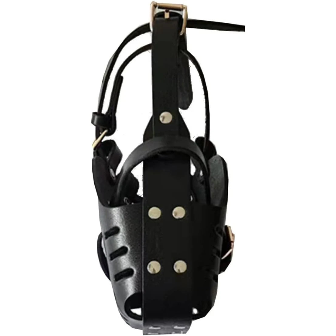 Muselière en Cuir