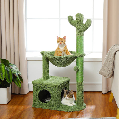Arbre a Chat Cactus