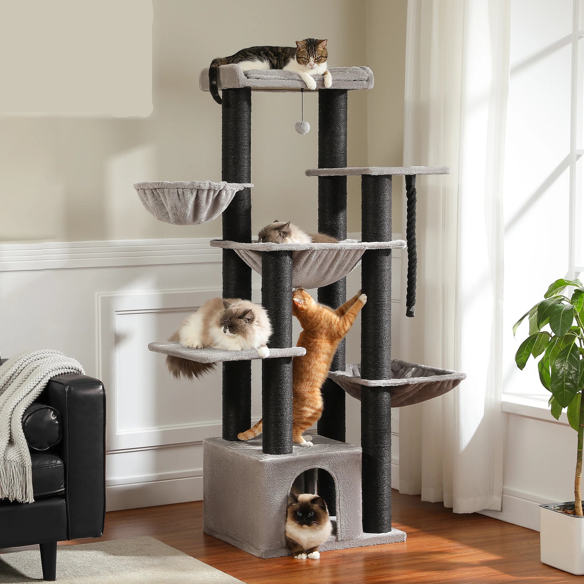 Arbre a Chats