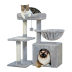 Arbres a Chat