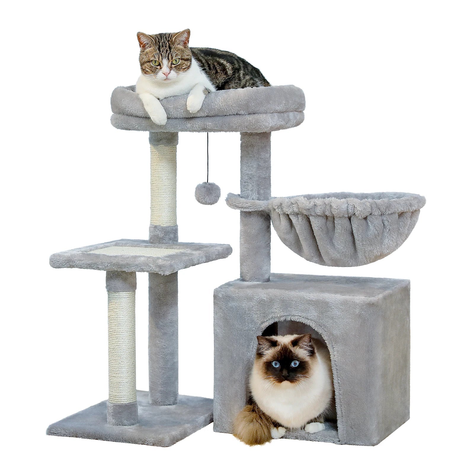 Arbres a Chat