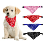 Bandana pour Chien