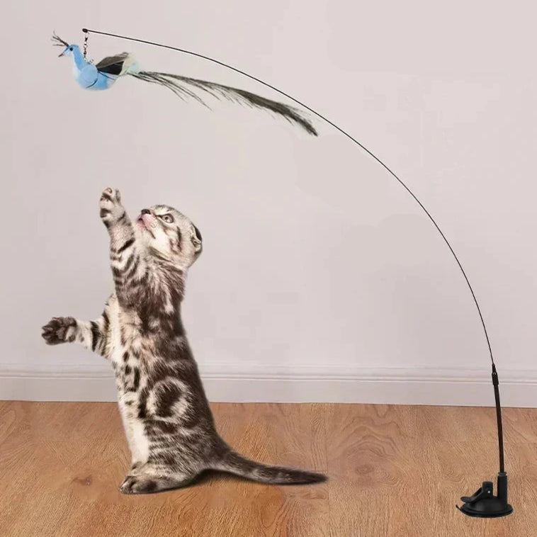 Canne a Peche sur Ventouse pour Chat