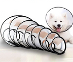 Collerette pour Chien