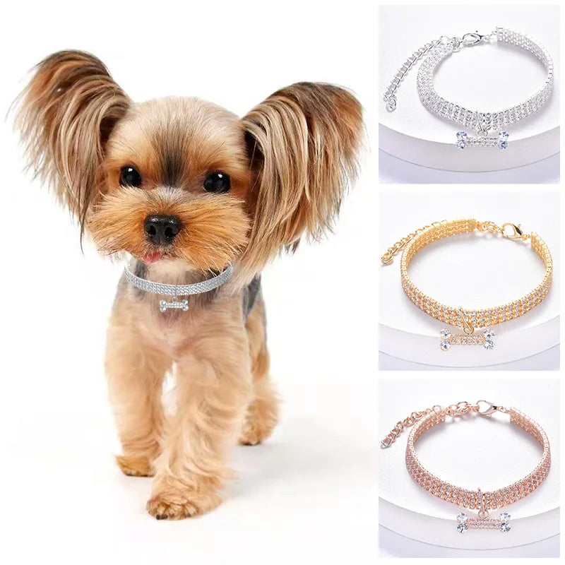 Collier Bijoux pour Chien