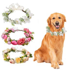 Collier de Fleurs pour Chien