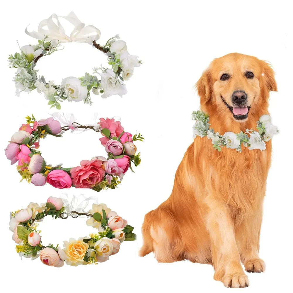 Collier de Fleurs pour Chien