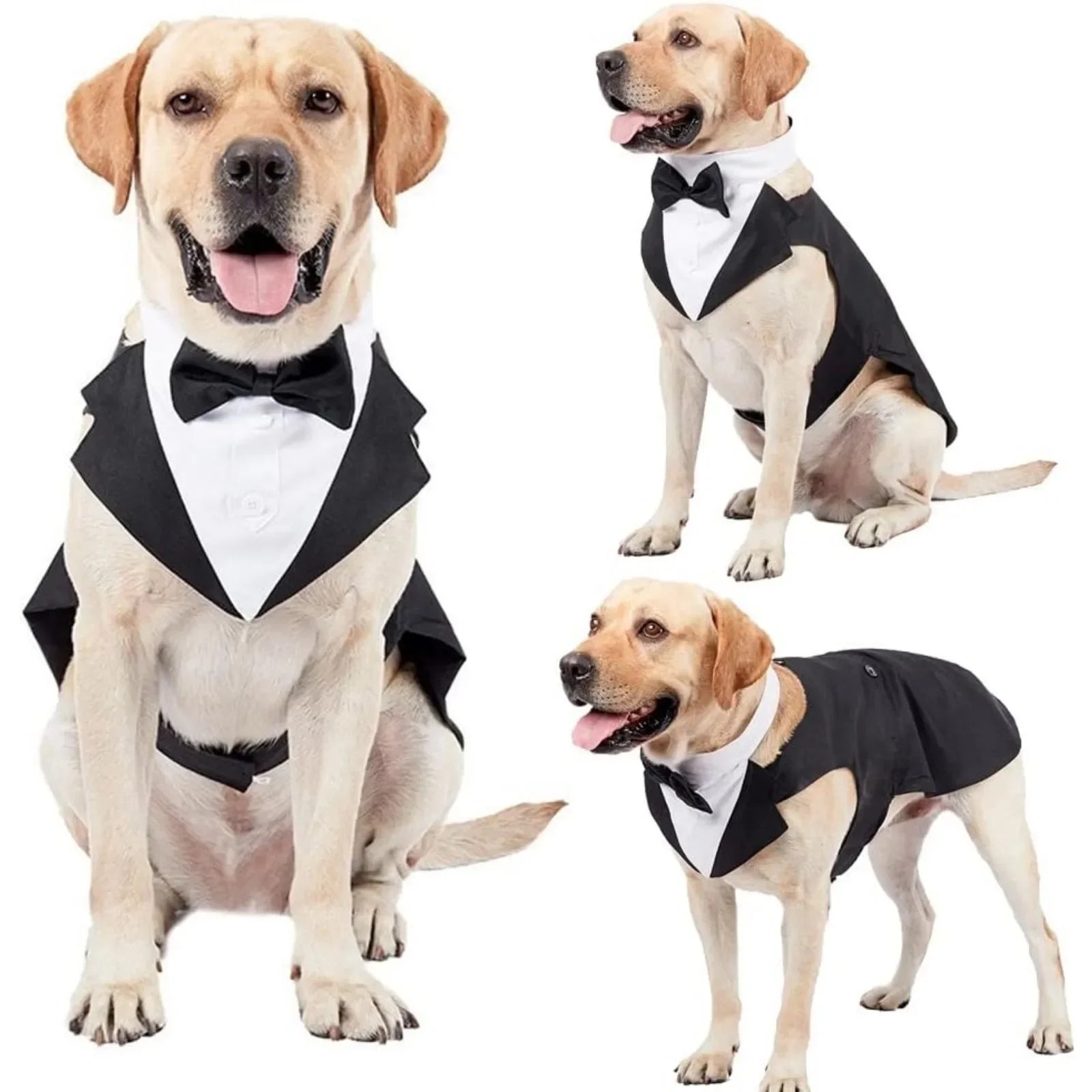 Costume Pour Chien