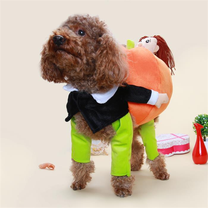 Costume d' Halloween Pour Chien