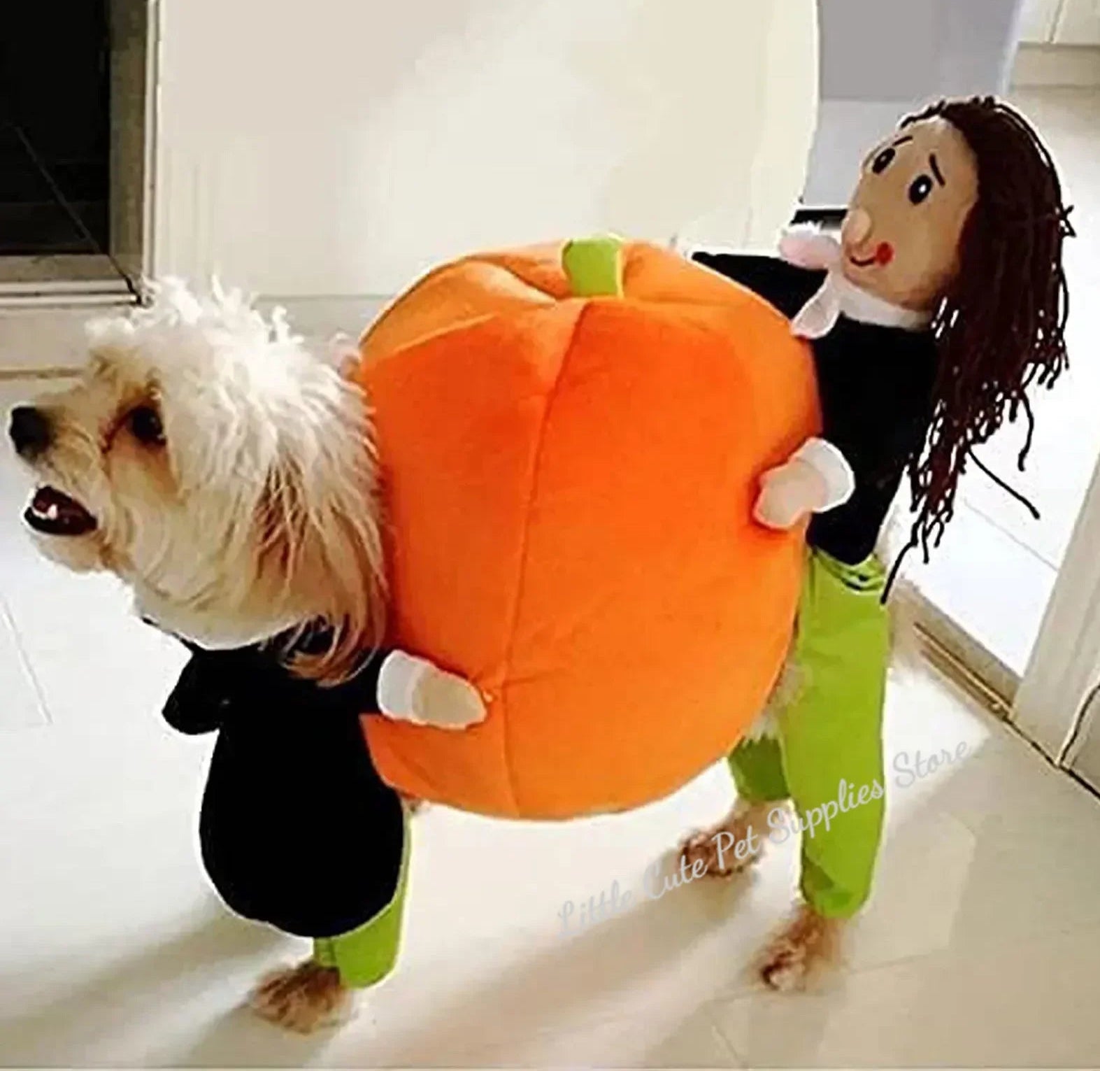 Costume d' Halloween Pour Chien