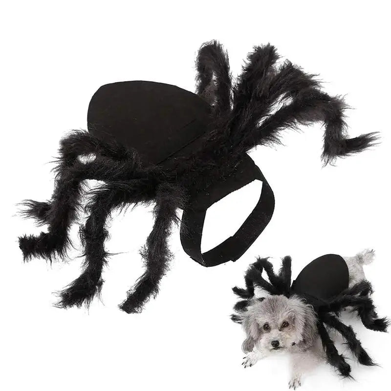 Costume d'Halloween pour chien - Araignée
