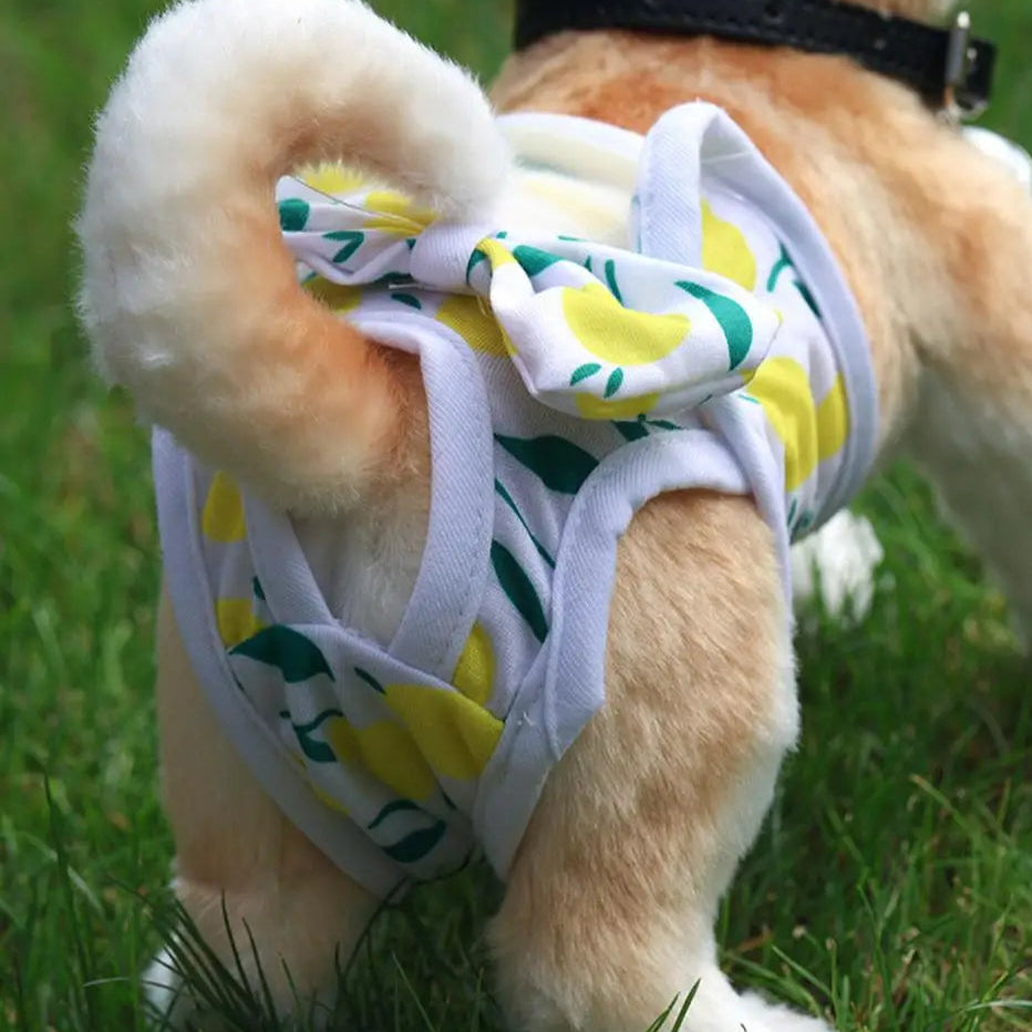 Couche pour Chien