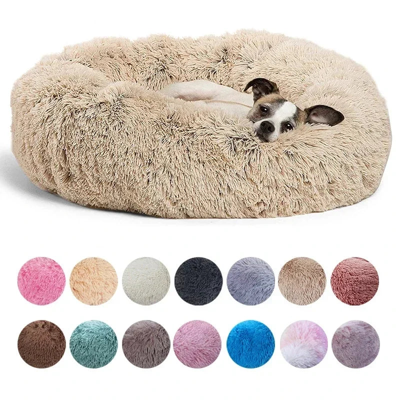 Coussin pour Chien
