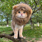 Crinière De Lion Pour Chat