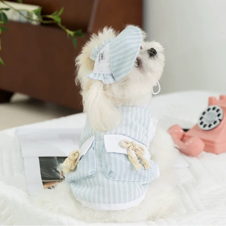 Ensemble Pour Chien