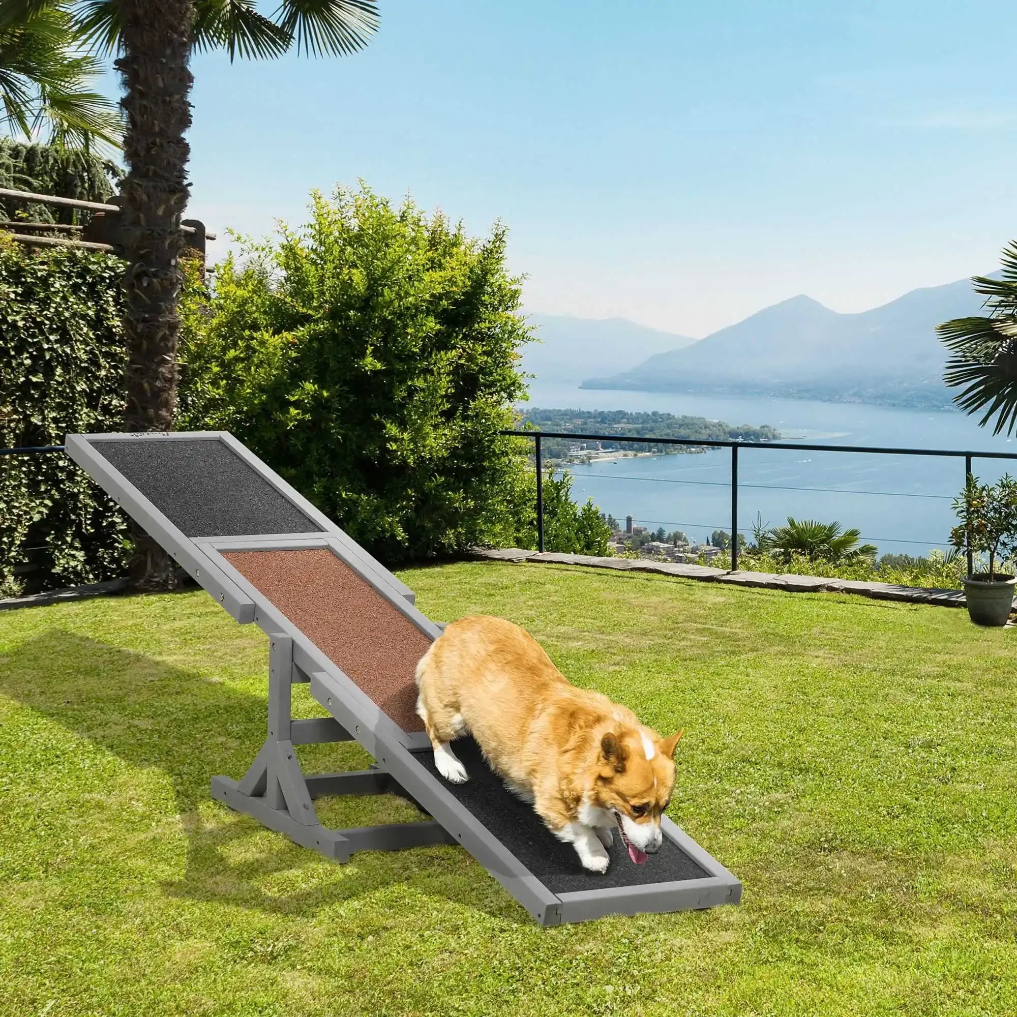 Entrainement Pour Chien