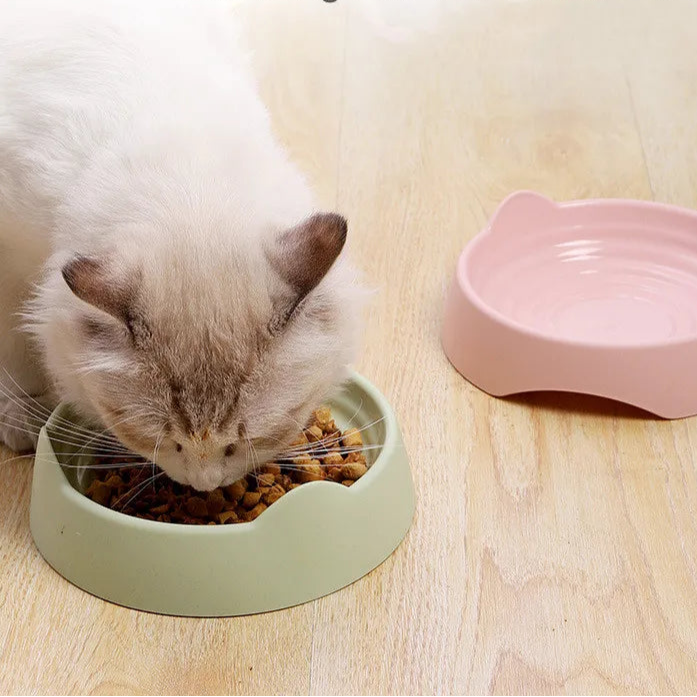 Gamelle Chat en Plastique