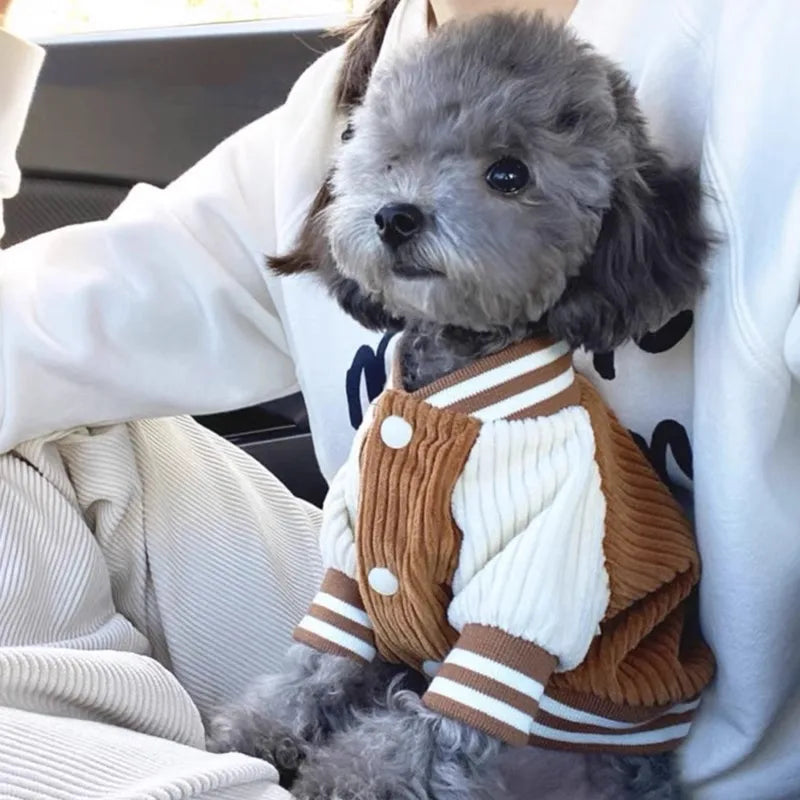 Gilet Pour Chien