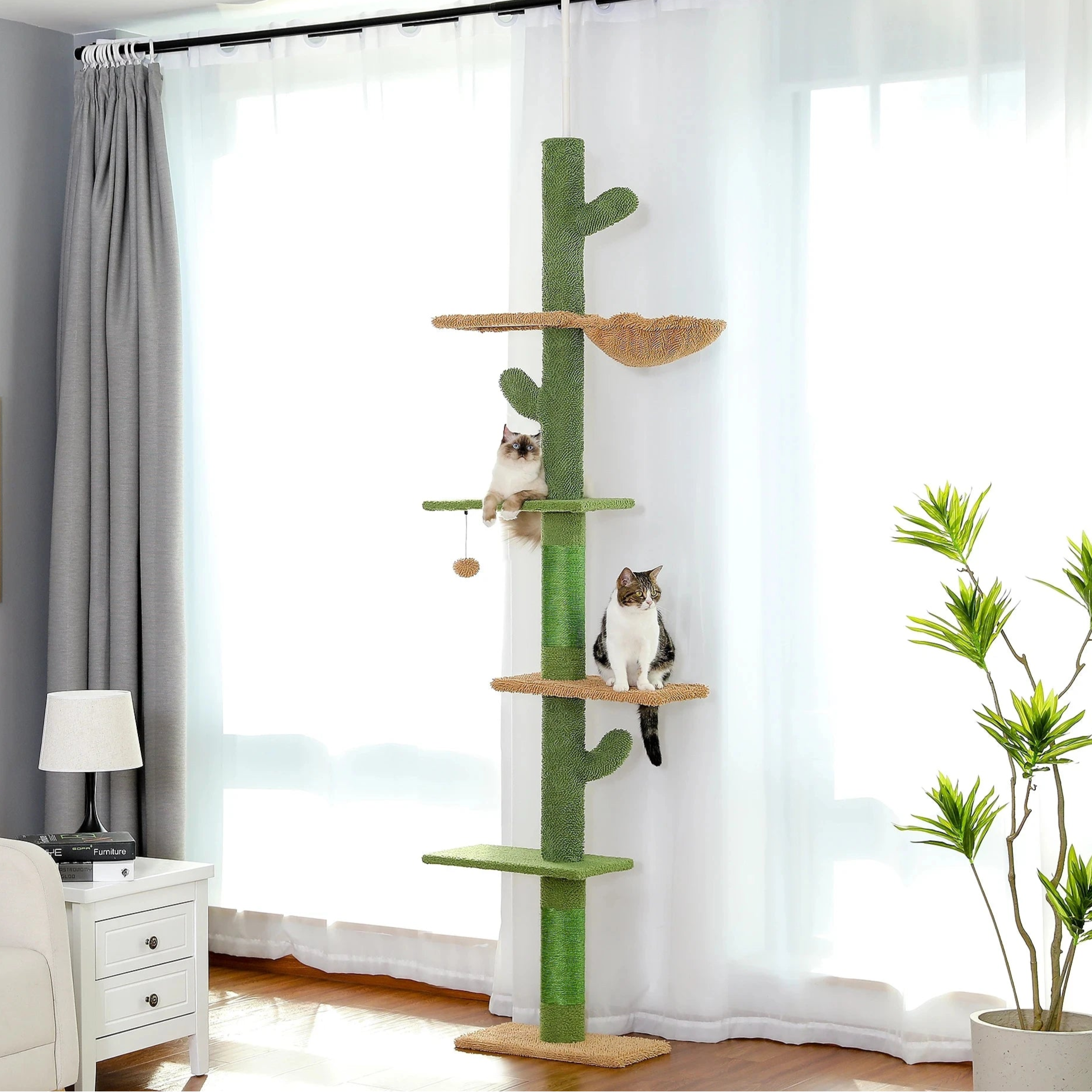 Grand Arbre a Chat
