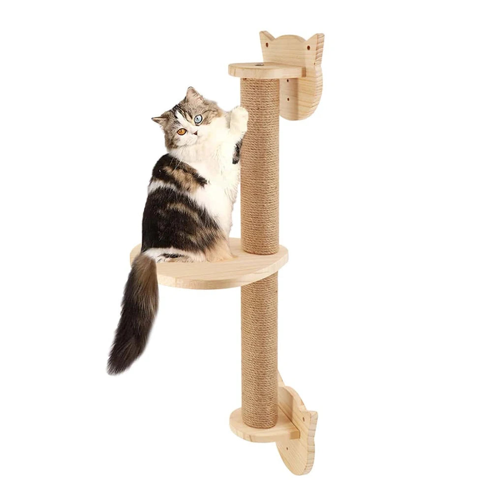 Griffoir a Chat Mural