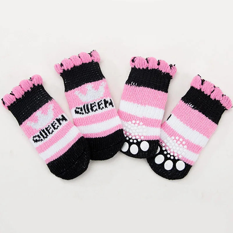 Chaussettes pour Chien