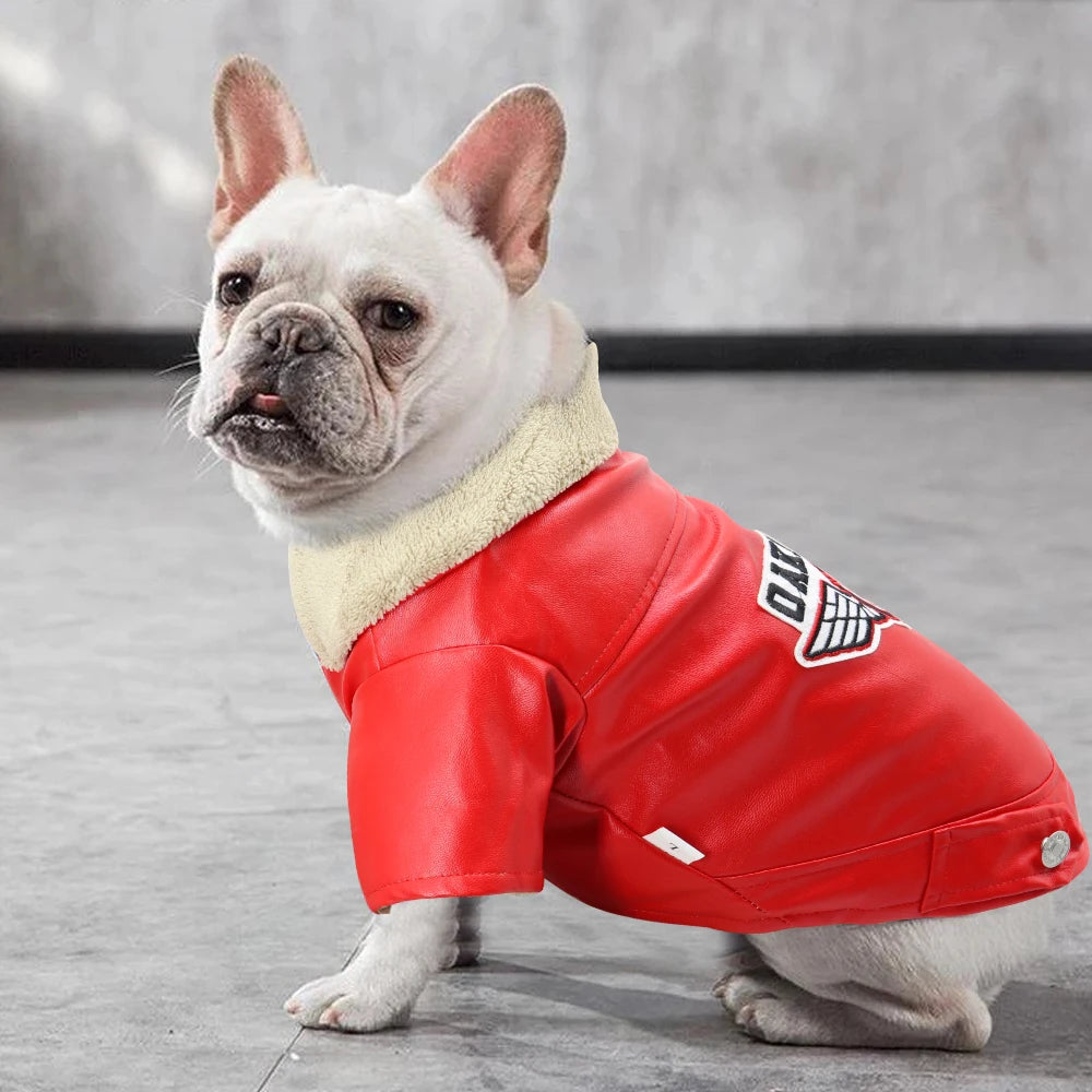 Veste Pour Chien - Au Choix