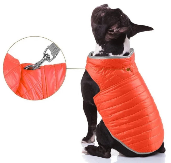 Veste Pour Chien - Doudoune