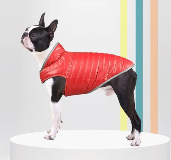 Veste Pour Chien - Doudoune