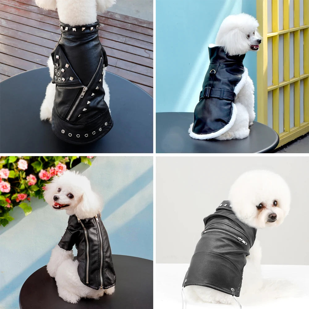 Veste Pour Chien - Au Choix