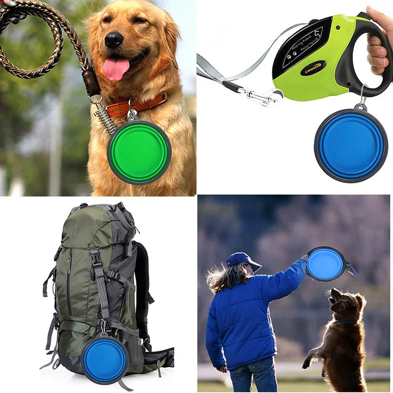 Gamelle Pliable