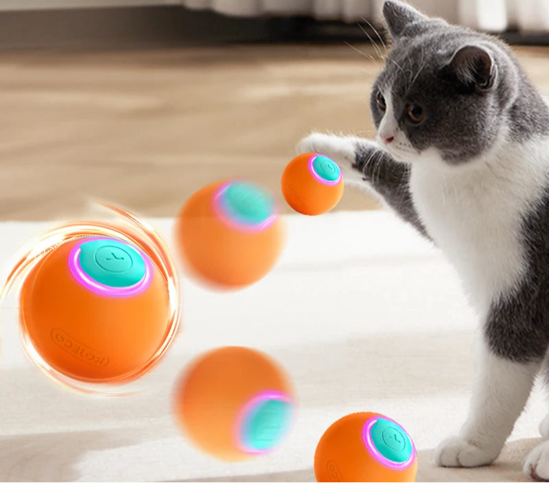 Jouets Interactifs pour Chat